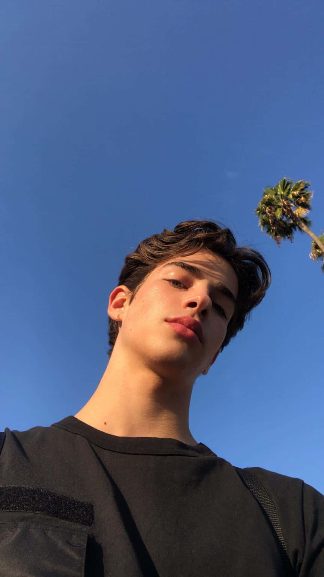A Young Man Is Taking A Selfie In Front Of A Palm Tree