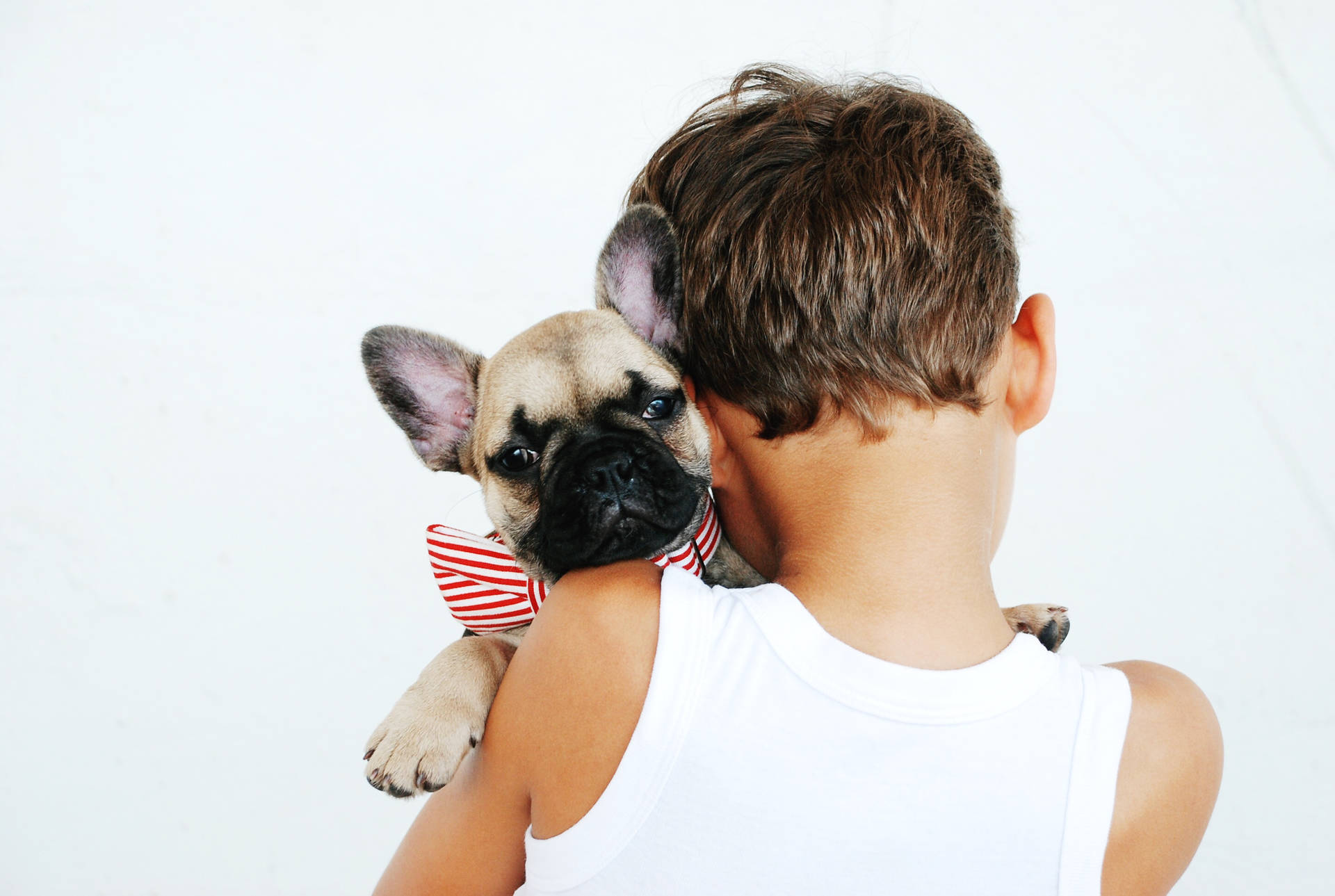 "Loving Companionship: A Young Boy Embracing His Pet Dog" Wallpaper