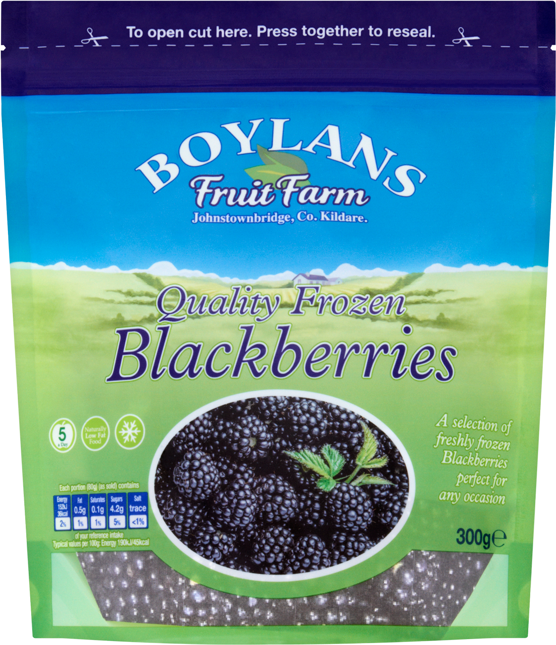 Boylans Frozen Blackberries Packaging PNG