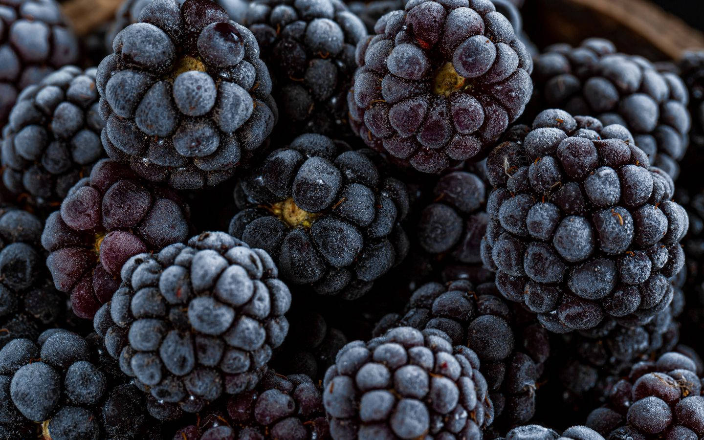Ricoen Antioxidantes De Boysenberry. Fondo de pantalla