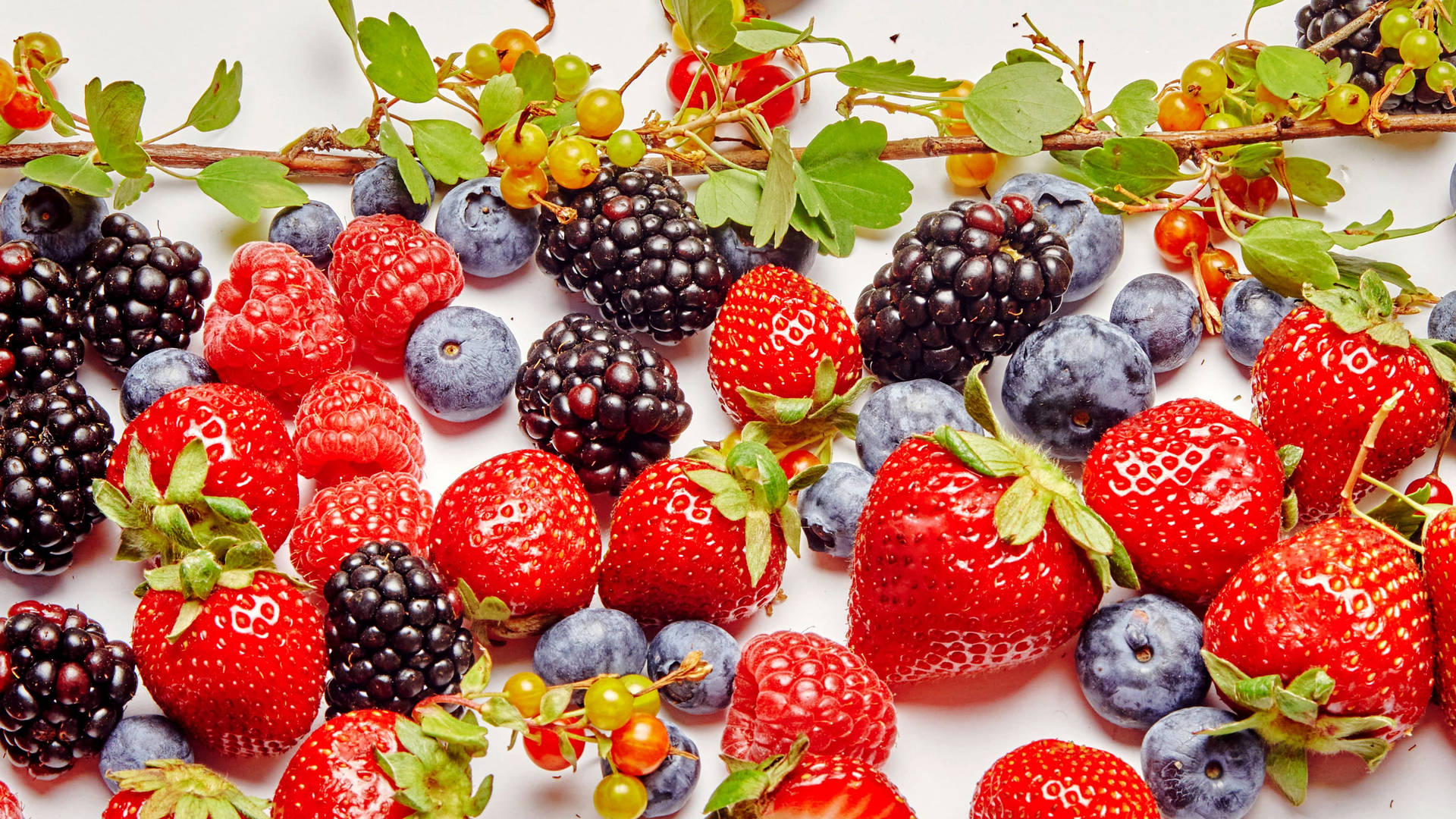 Boysenberry Assorted Berries Wallpaper