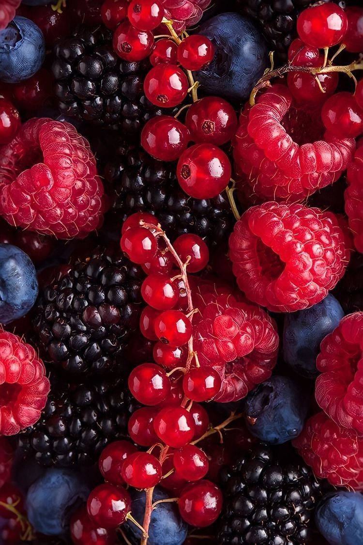 A Vibrant Mix of Boysenberry, Cherries and Raspberries Wallpaper