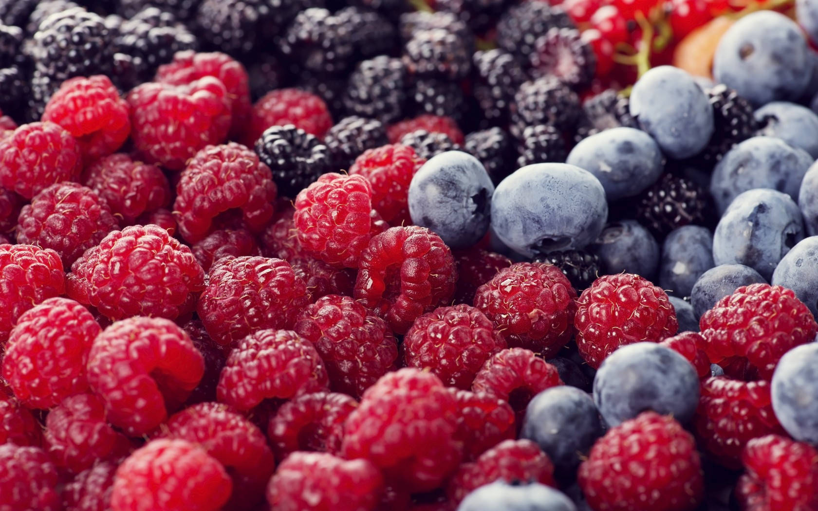 Boysenberry Multi-colored Berries Wallpaper