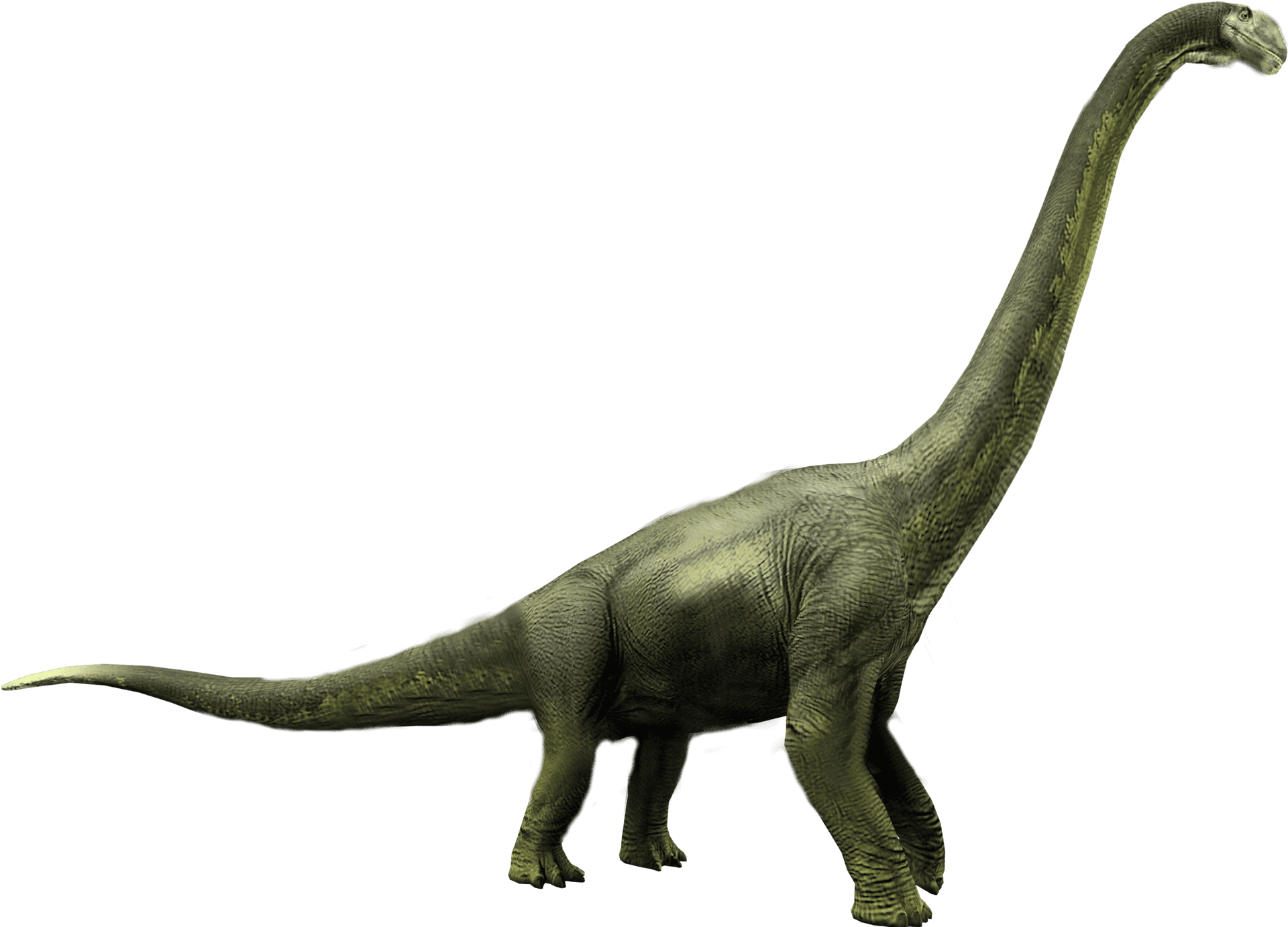 Brachiosaurus Jurassic World Dinosaur Render PNG