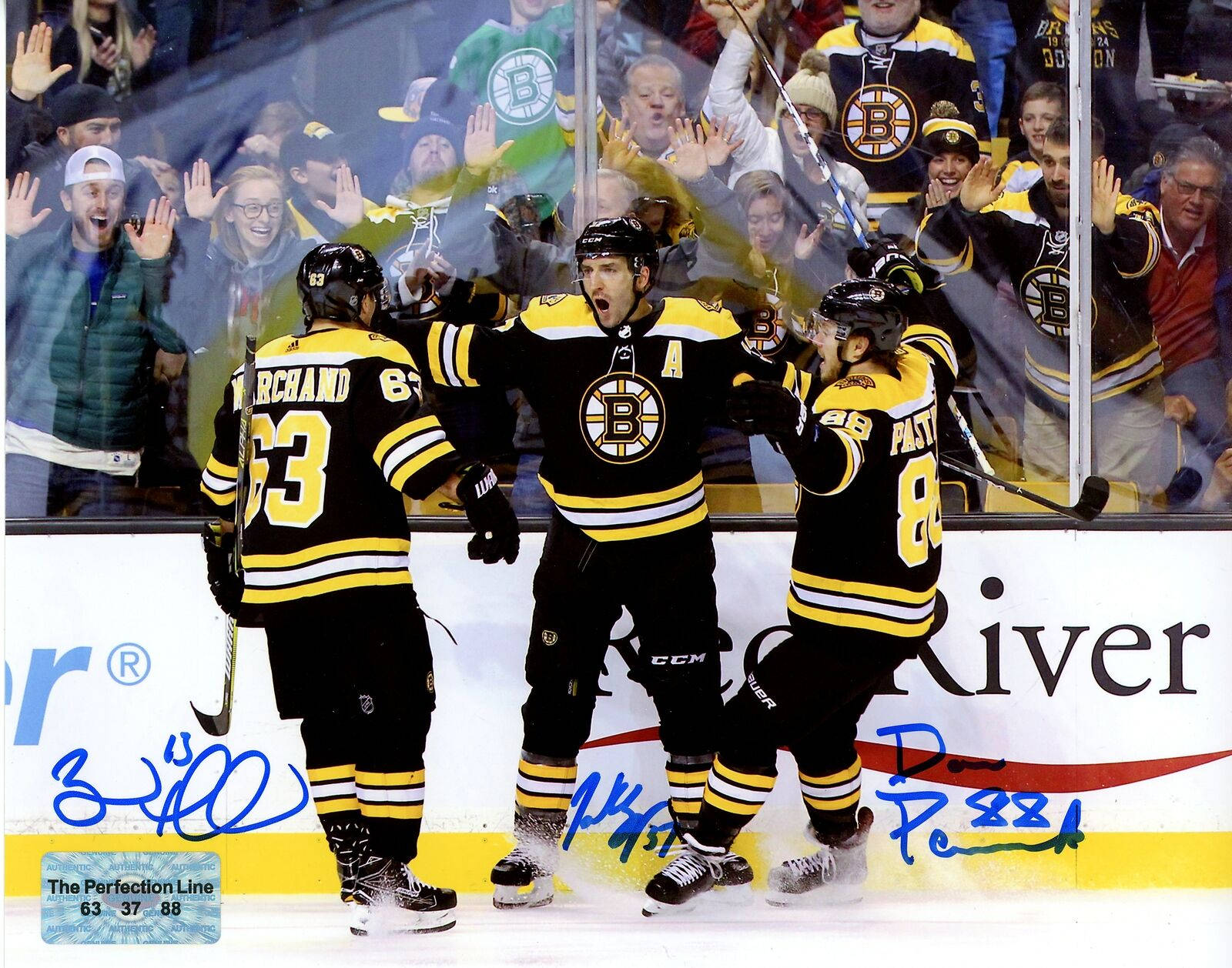 Brad Marchand Celebrating With Teammates Wallpaper