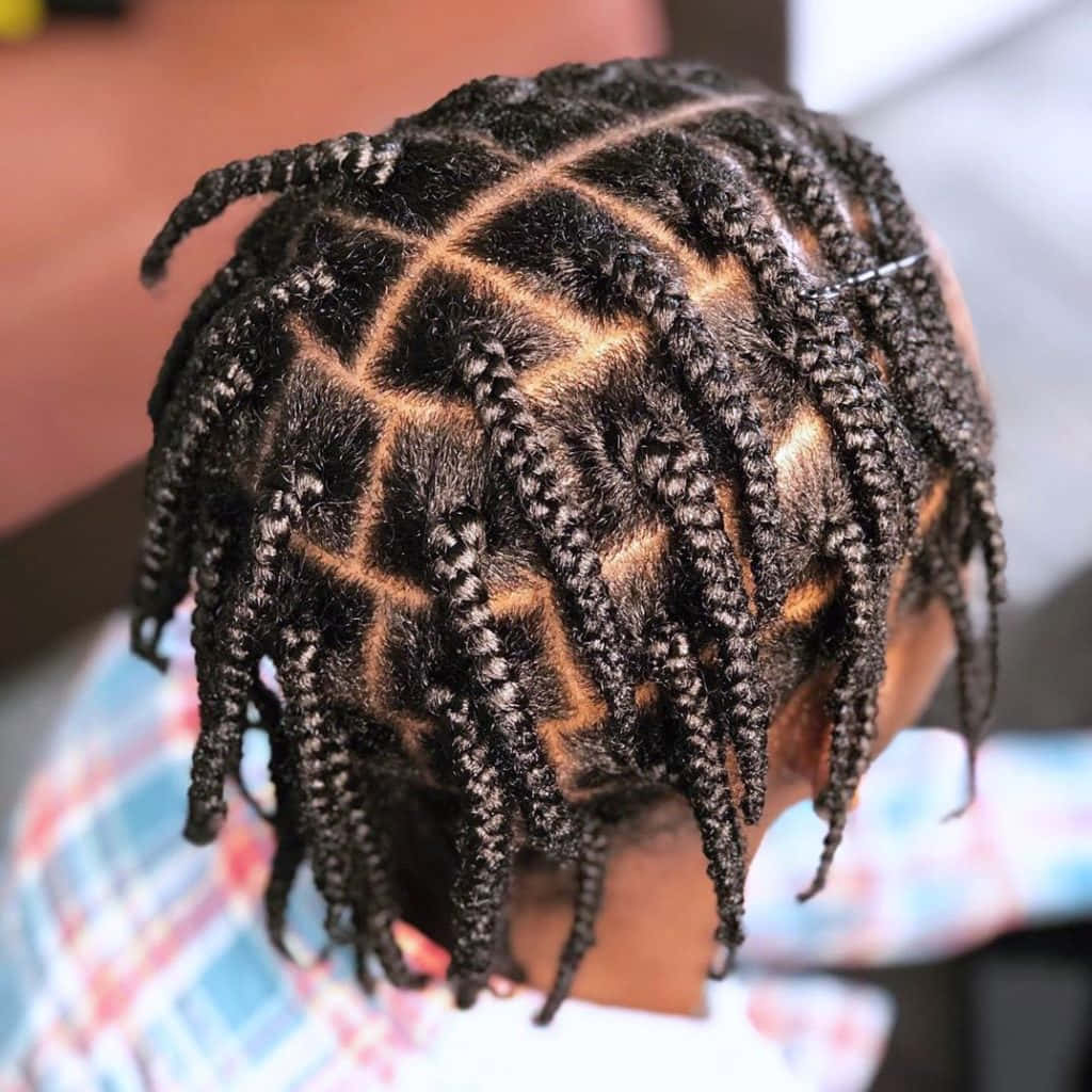 A Child With Braids In Her Hair