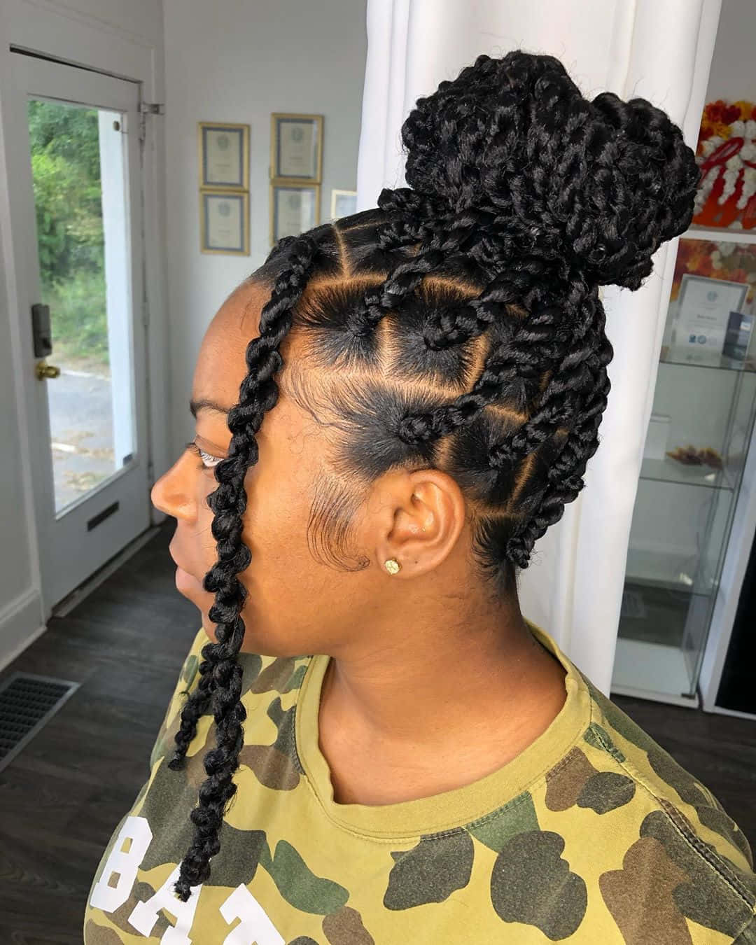 Twists Braids Hairstyles Picture 2022