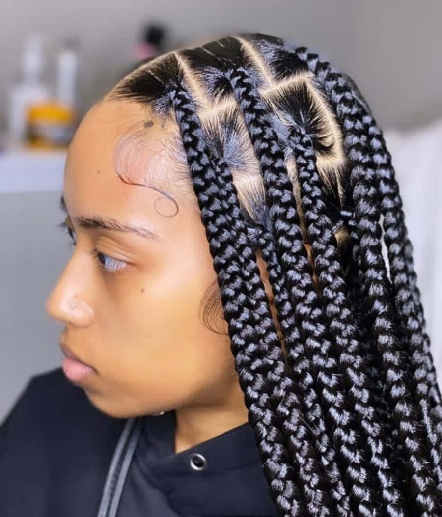 Braids Hairstyles 2022 [picture]