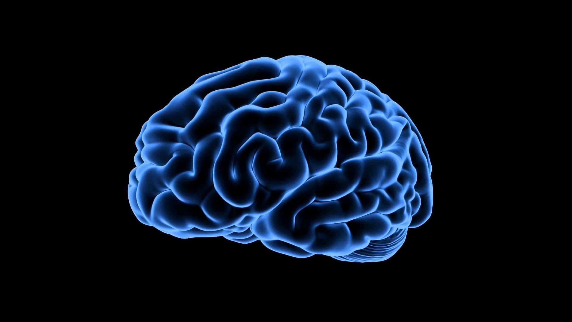 A Blue Human Brain On A Black Background Wallpaper