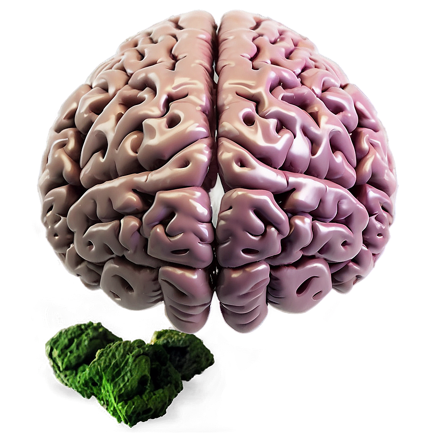 Brain B PNG