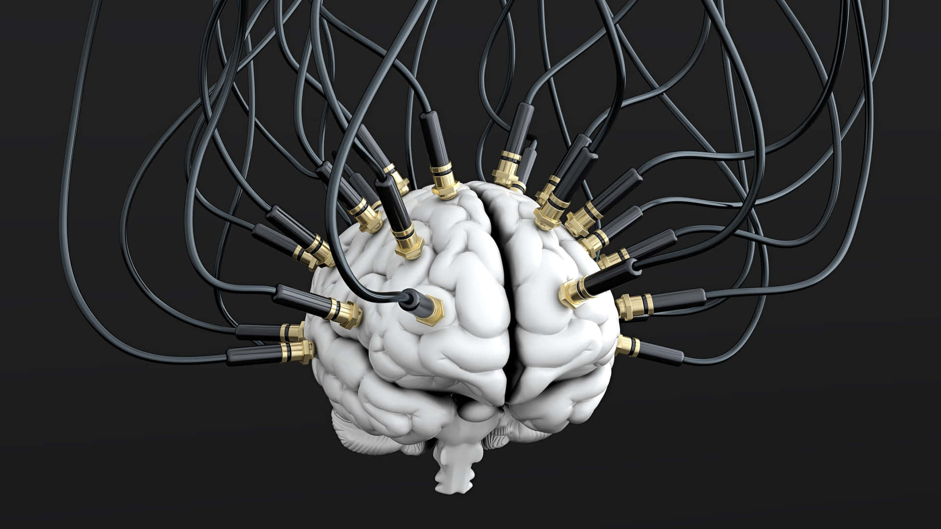 A Brain With Wires Connected To It