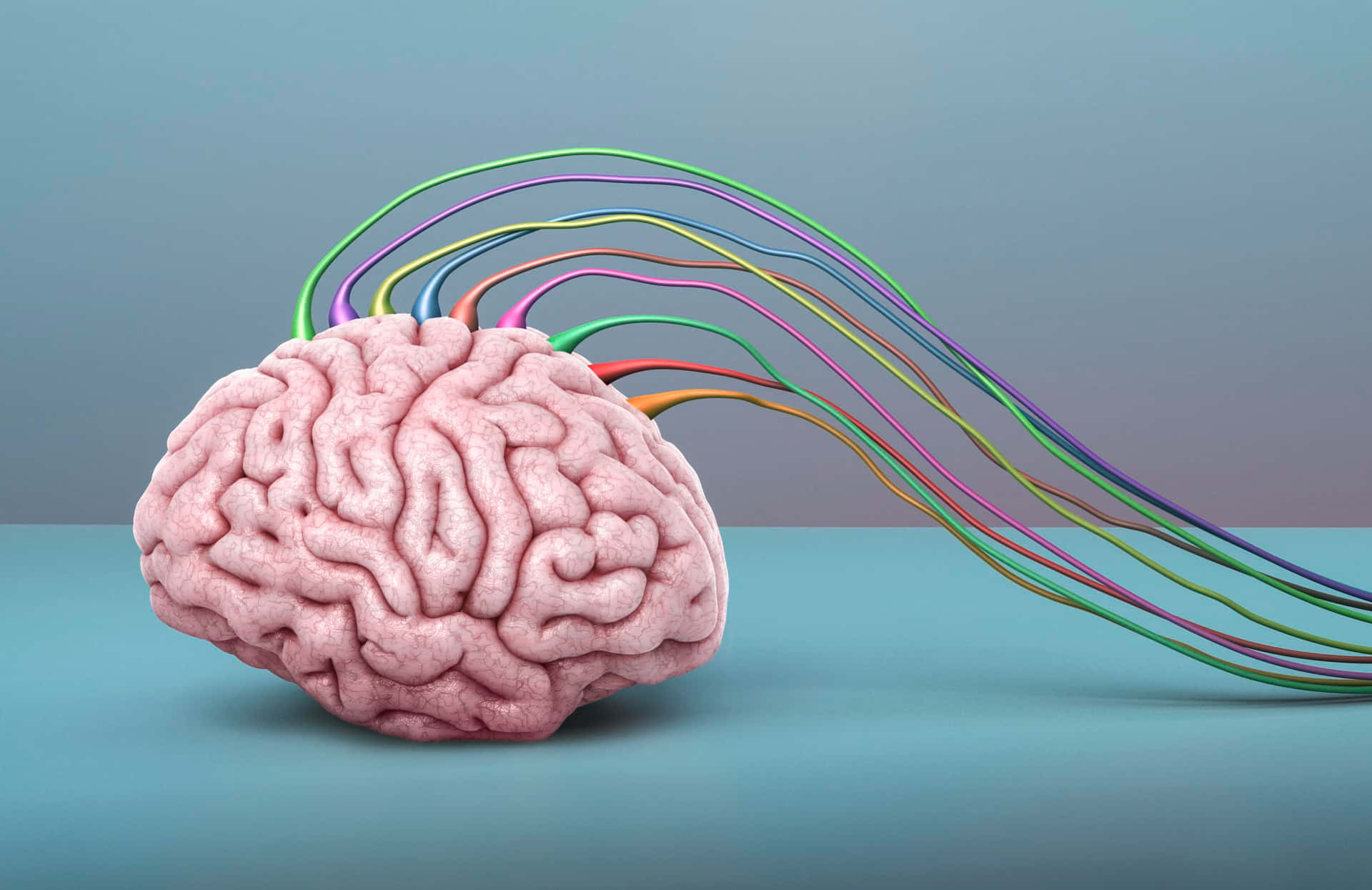 A Brain With Colorful Wires Coming Out Of It