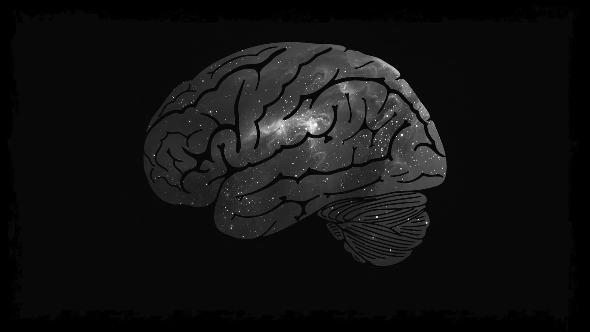 A Black And White Image Of A Brain