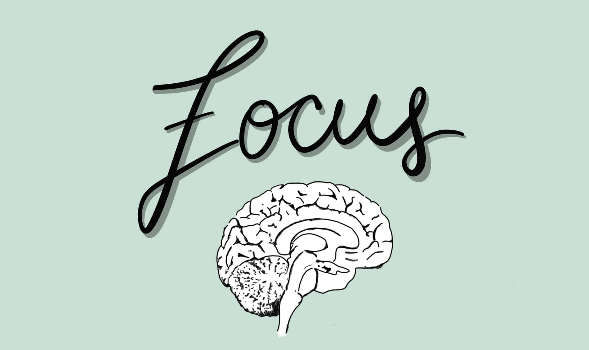 Download Brain Focus Concept Illustration Wallpaper | Wallpapers.com