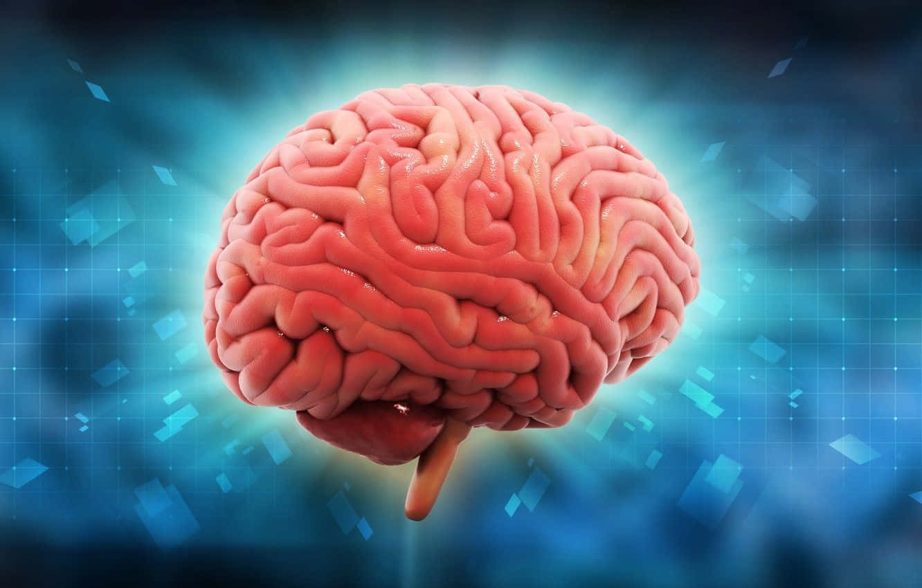 A Brain With A Blue Background Wallpaper