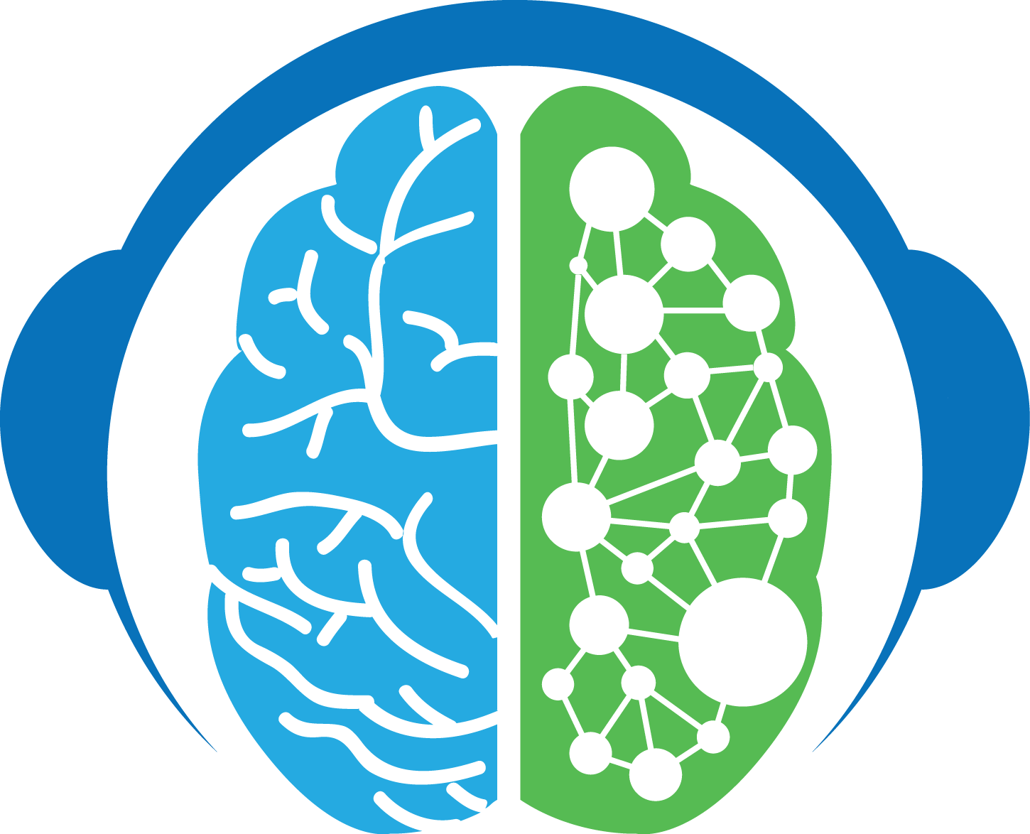 Brain Hemispheresand Networks PNG