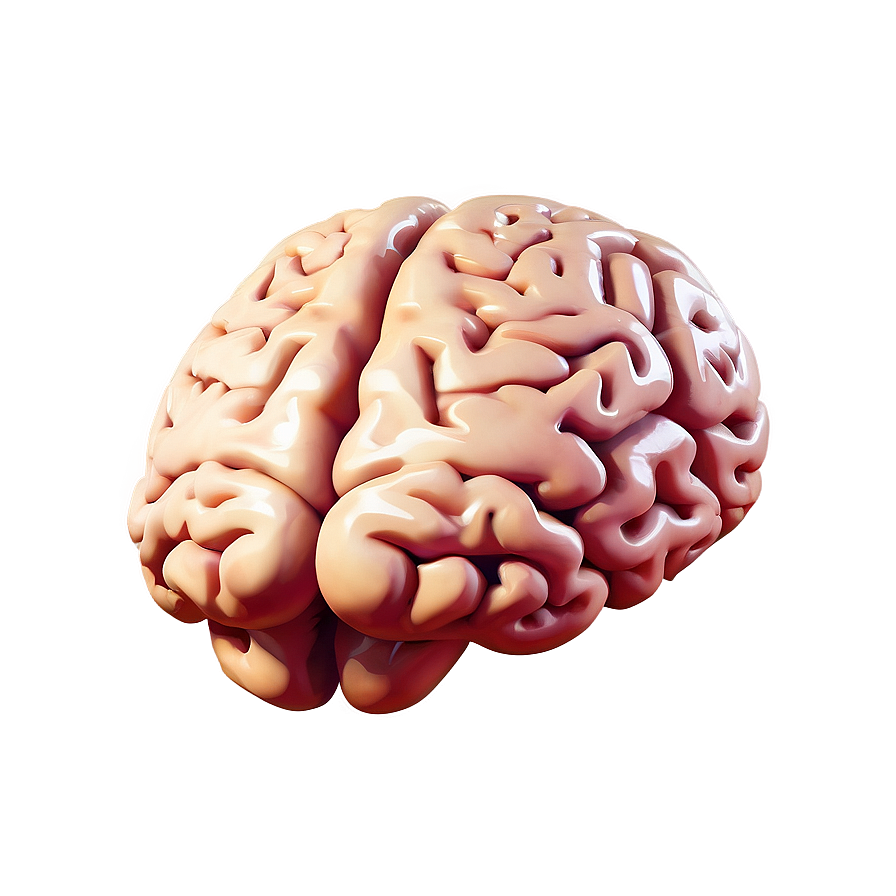 Brain Icon Flat Png 24 PNG