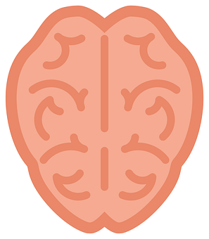 Brain Illustration Graphic PNG