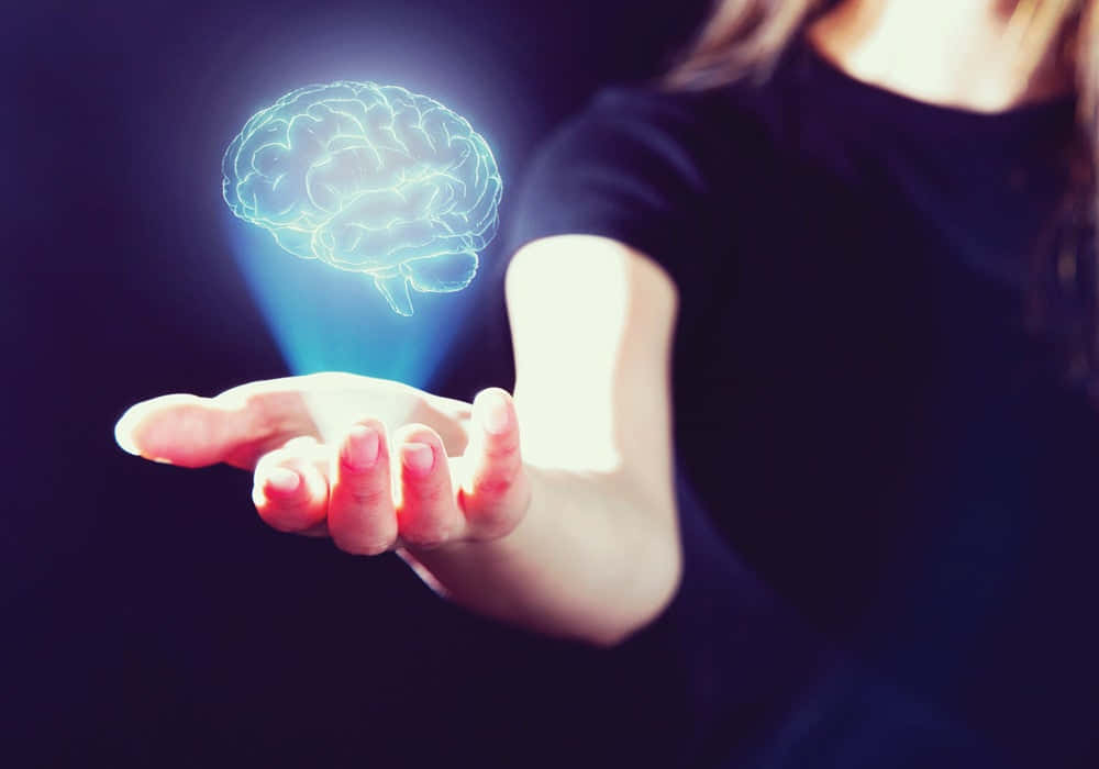 Brain In Hand- Symbol Of Ingenious Thinking Wallpaper