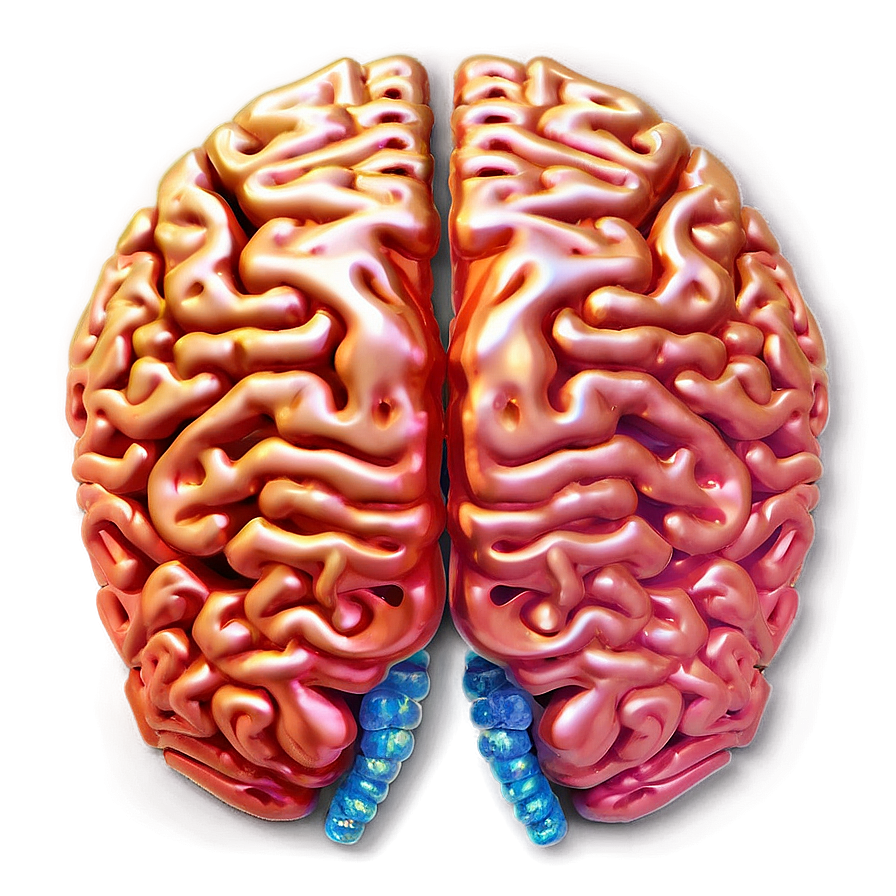 Brain In Light Png 04292024 PNG