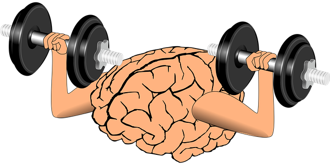 Brain_ Lifting_ Weights_ Concept PNG