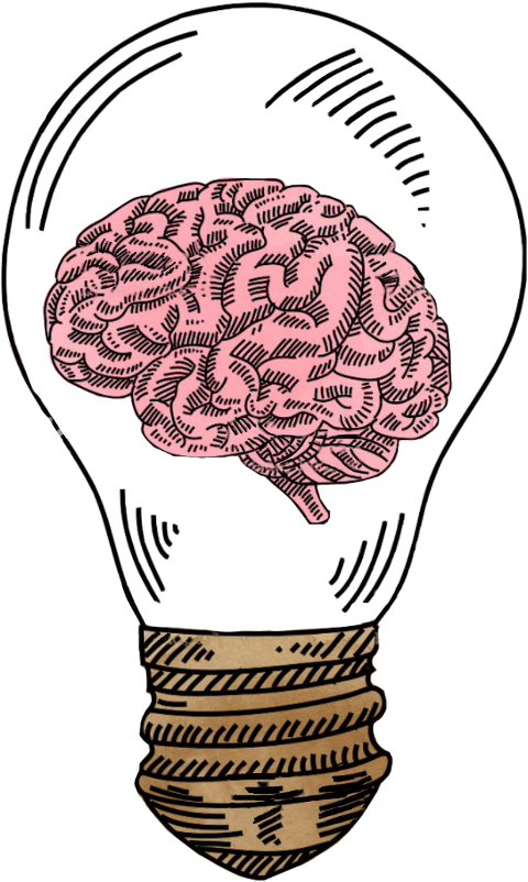 Brain Lightbulb Idea Concept PNG