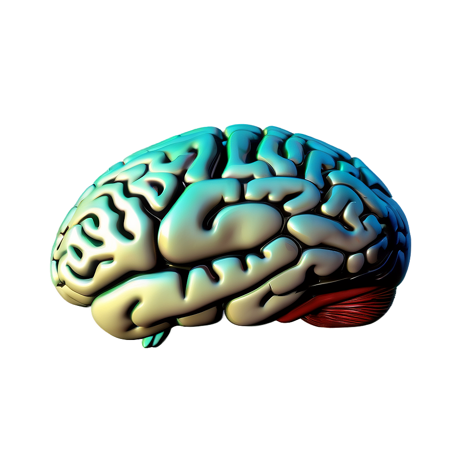 Brain Mind Map Png Mla PNG