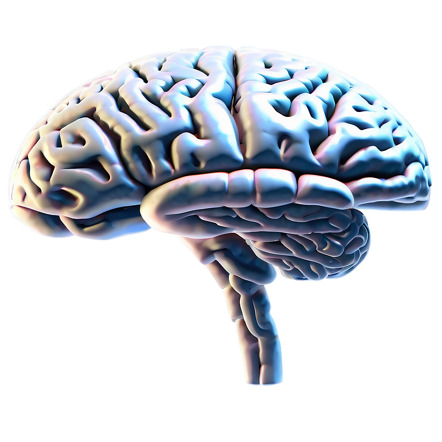 Brain Outline C PNG