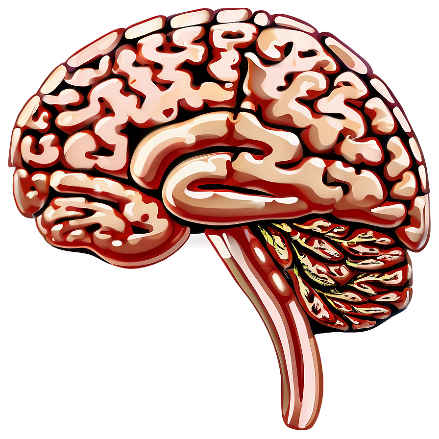 Brain Outline Clipart Png Hvx PNG