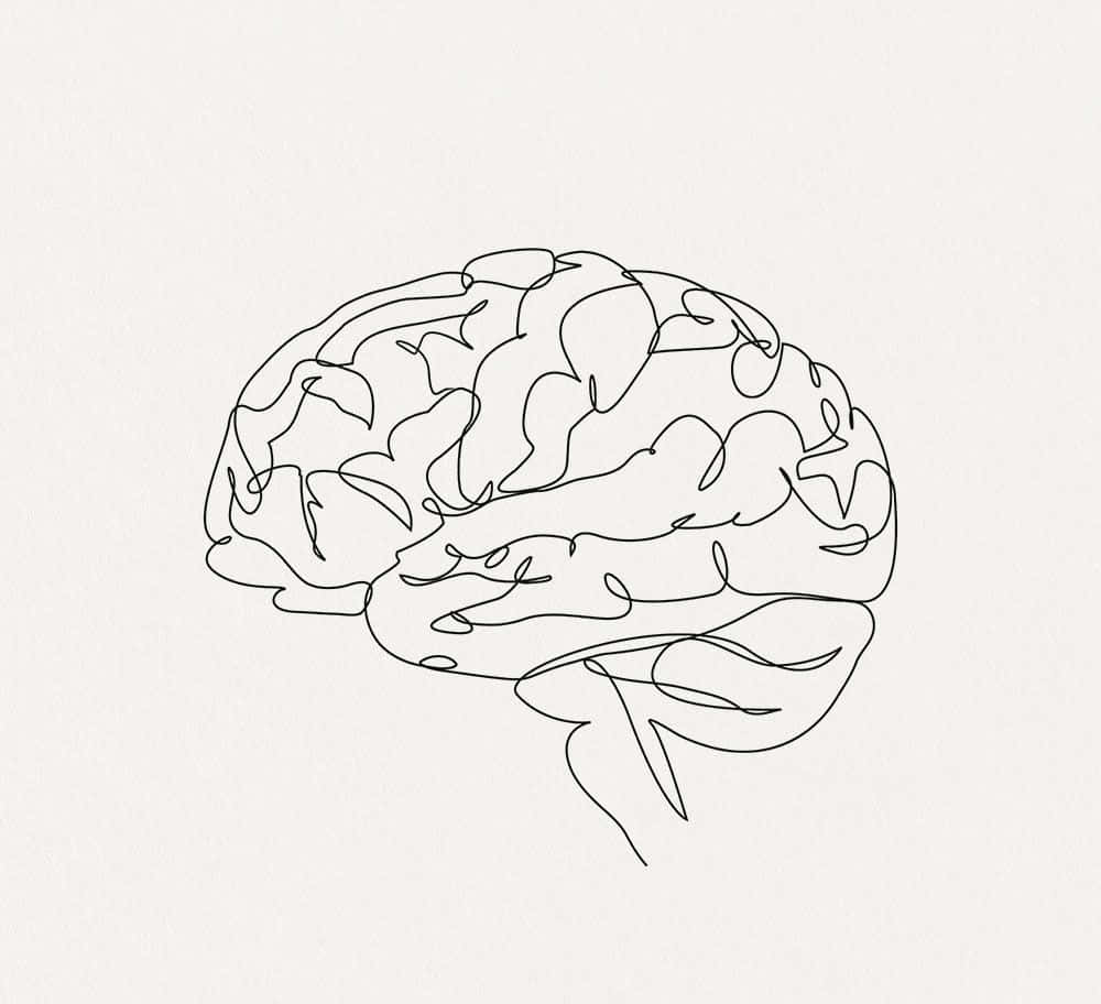 Brain Pencil Picture