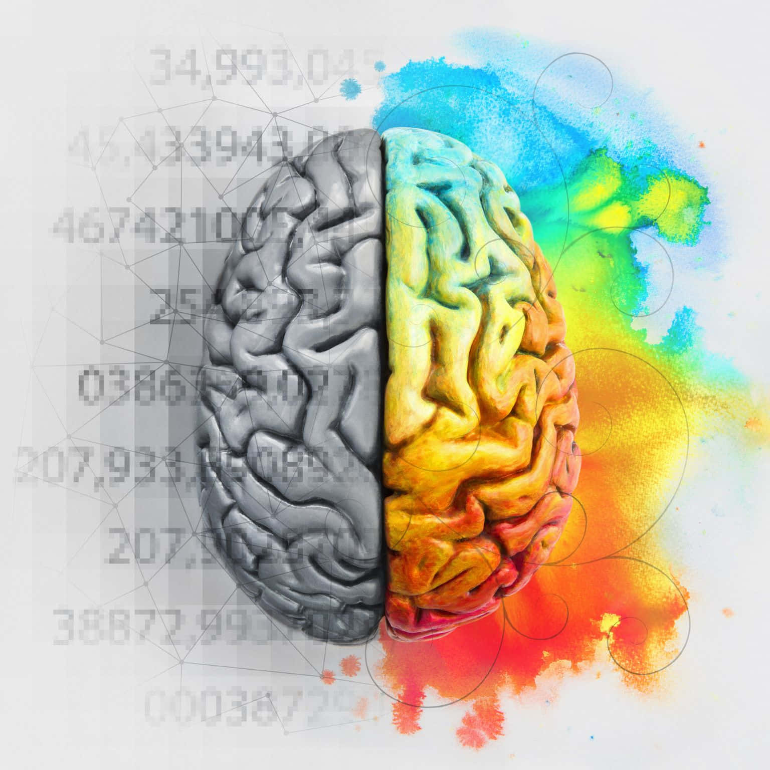 Einfarbenfrohes Gehirn Mit Zahlen Darauf