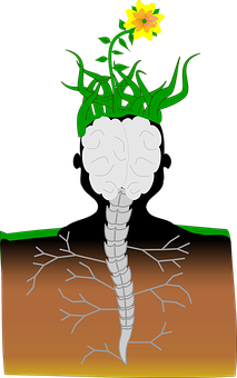 Brain Roots Flower Illustration PNG