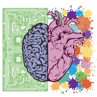 Brainand Heart Artwork PNG