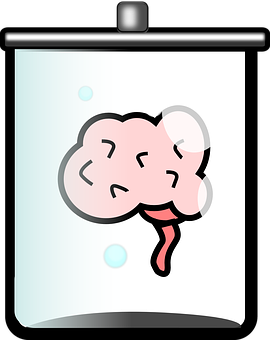 Brainina Jar Cartoon PNG