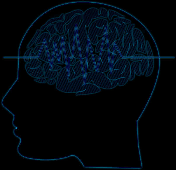 Brainwave Activity Outline PNG