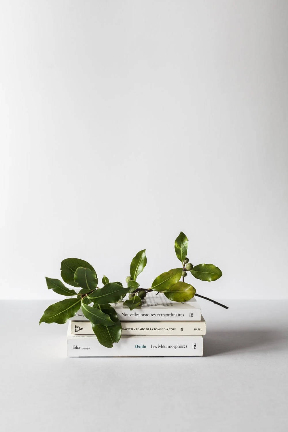 Branch And Books Green And White Aesthetic Wallpaper