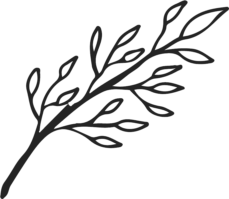 Branch Silhouette Outline.png PNG