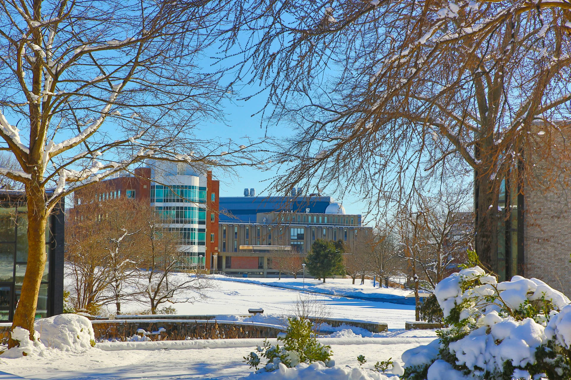 Campusdell'università Brandeis Durante L'inverno Sfondo
