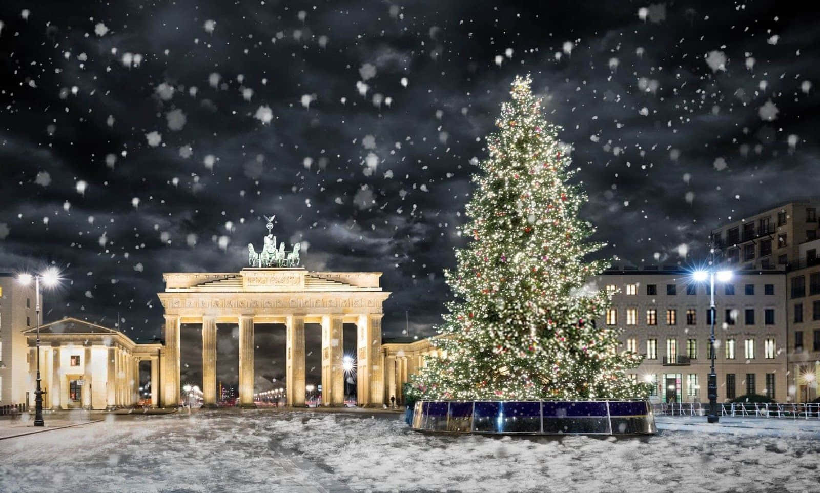 Brandenburg Gate Christmas Tree Picture