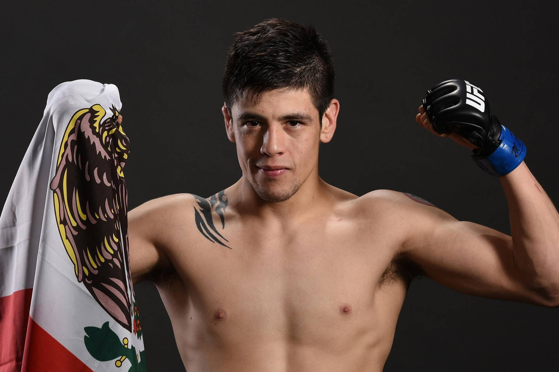 Victory pose of Brandon Moreno with the Mexican flag in the background Wallpaper