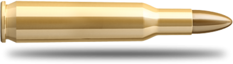 Brass Bullet Isolated PNG