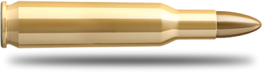 Brass Bullet Isolatedon White PNG