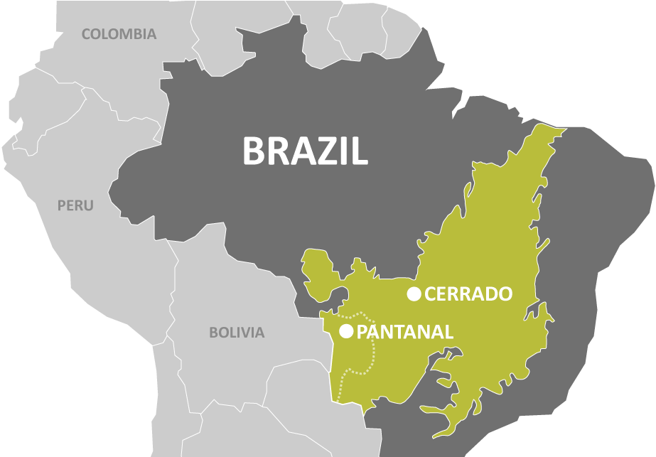 Brazil Ecoregions Map Cerrado Pantanal PNG