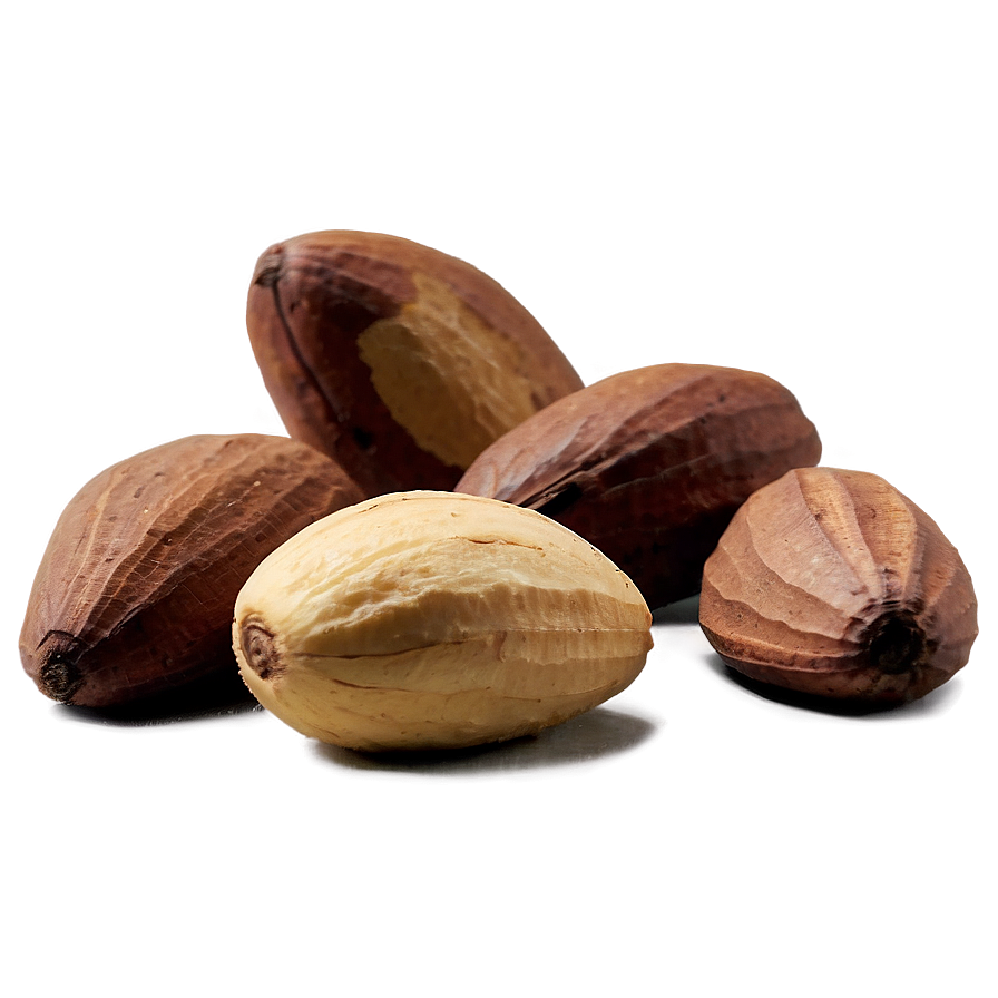 Brazil Nut Png 46 PNG