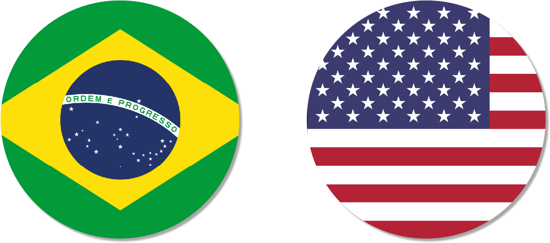 Braziland U S A Flagsin Circles PNG