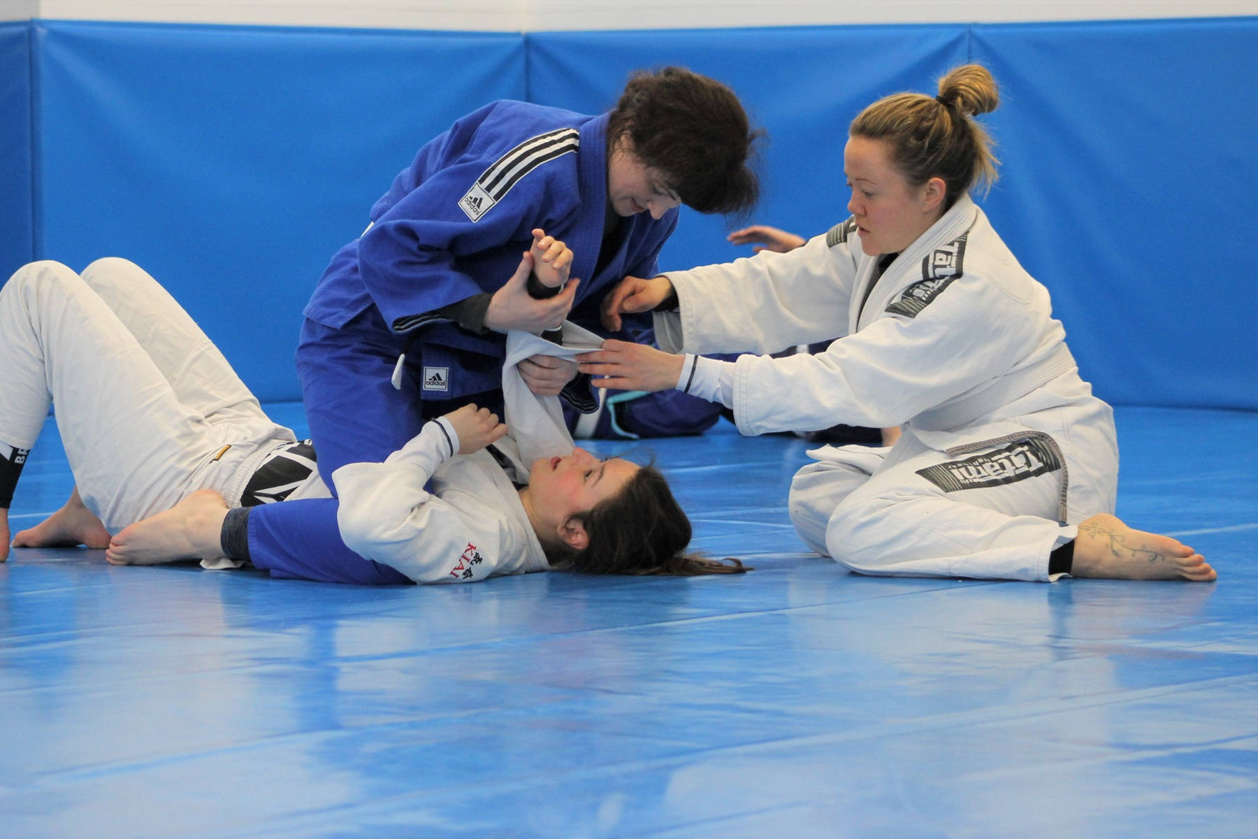 Female athletes training Brazilian Jiu-Jitsu Wallpaper
