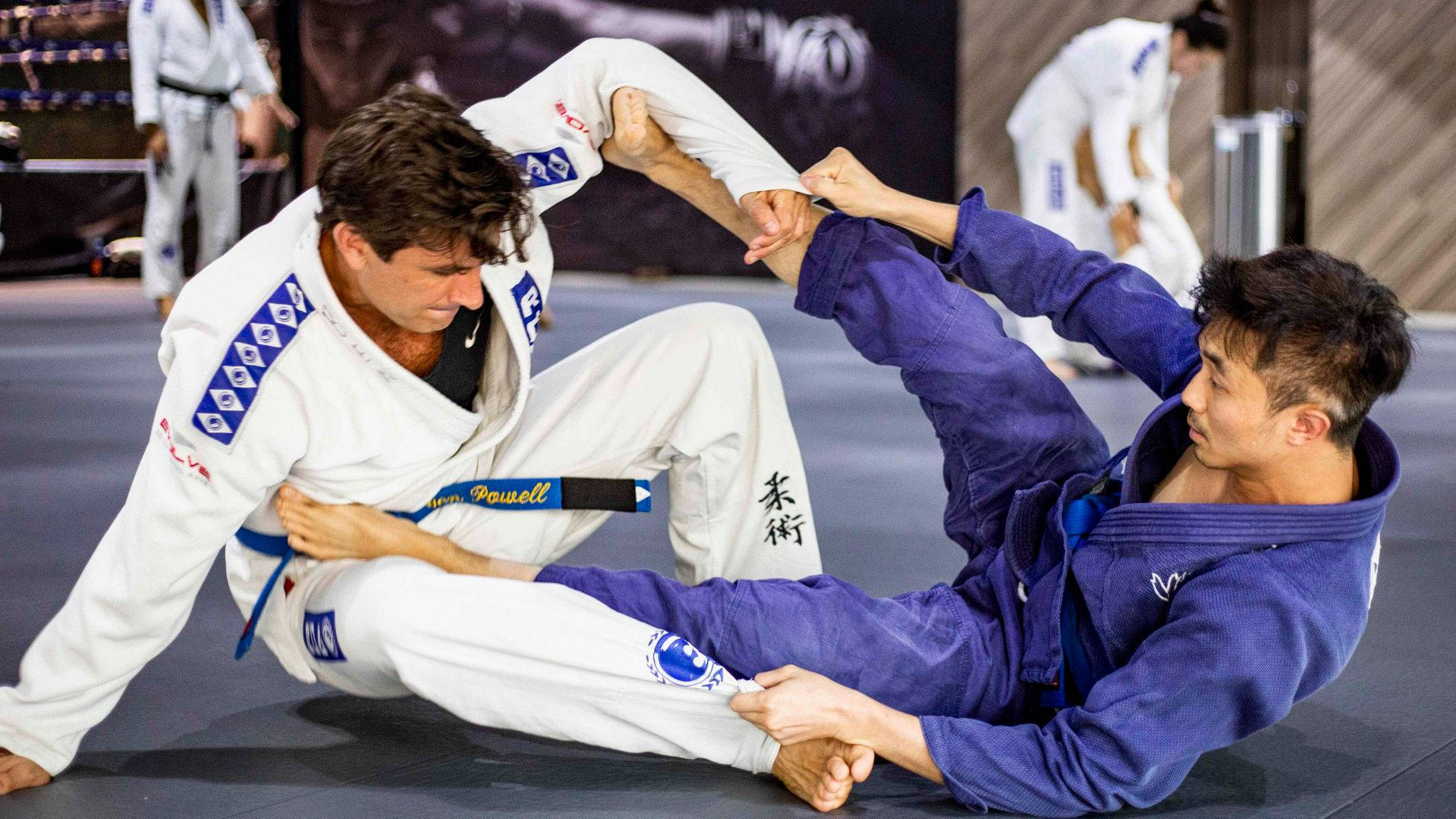 Luchade Grappling De Brazilian Jiu-jitsu. Fondo de pantalla