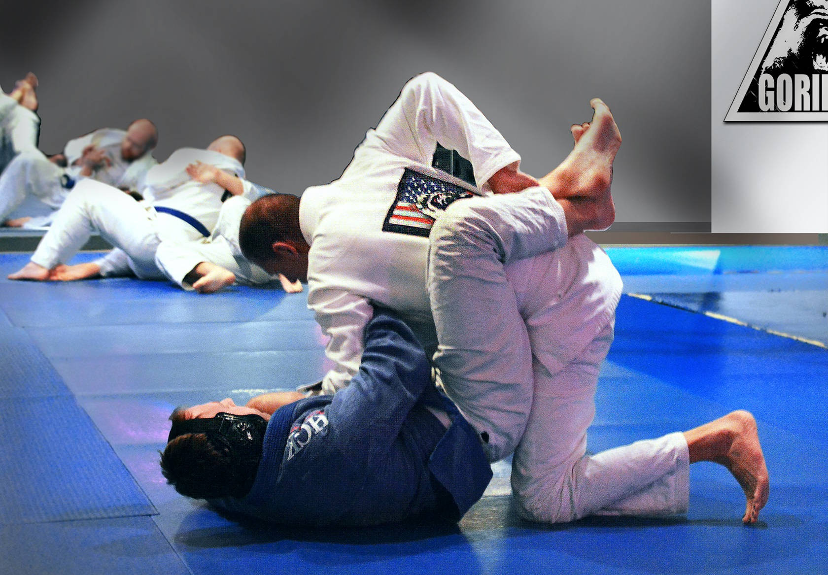Brazilianjiu-jitsu Asegurar En El Suelo Fondo de pantalla