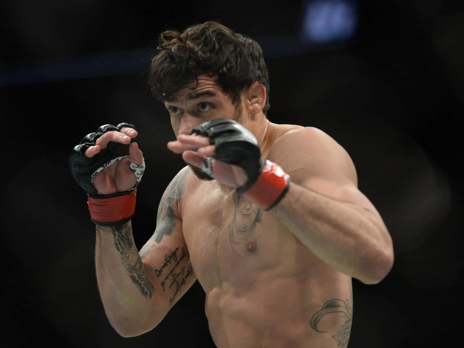 Brasiliansk Mixed Martial Artist Renan Barão Fighting Stance Wallpaper Wallpaper