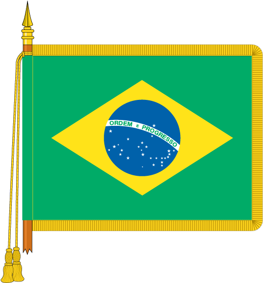 Brazilian National Flag Illustration PNG